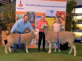 1st at the Adelaide Show